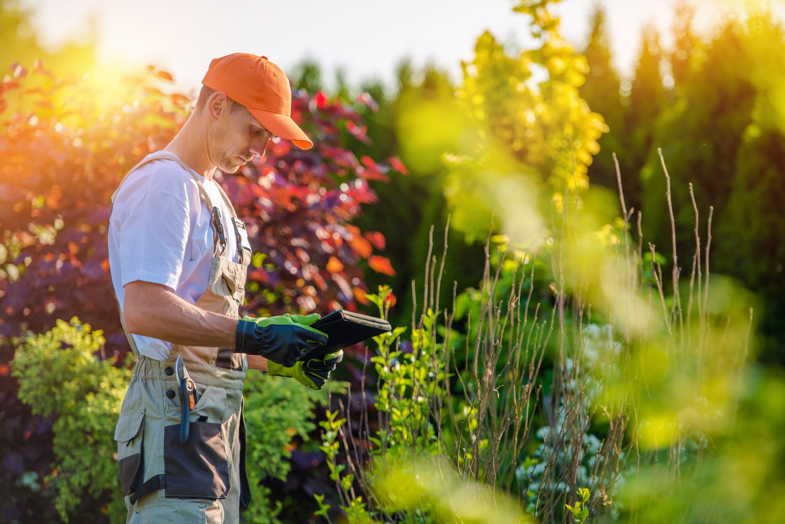 How to Make a Living Out of Gardening