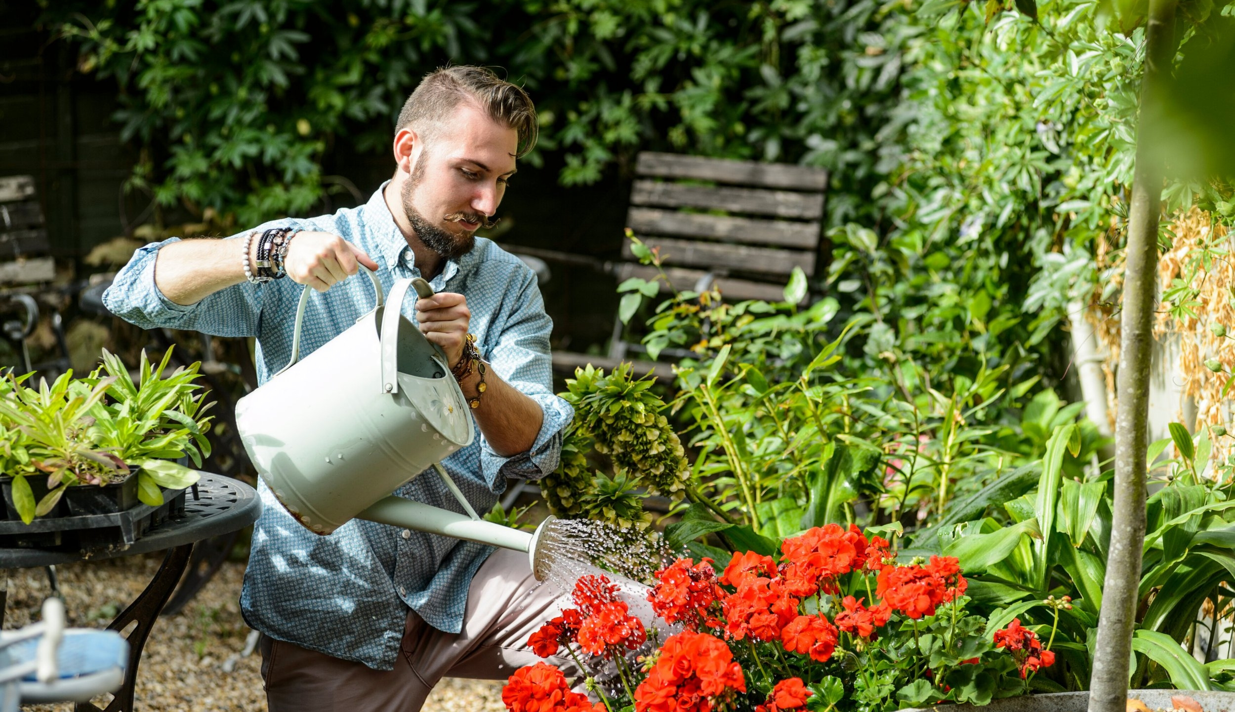 How to Care For Garden Plants